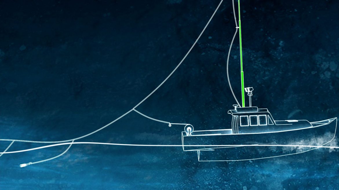 Costa Rica Considers Approving Green-Stick Fishing