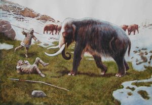 humans and mammoths
