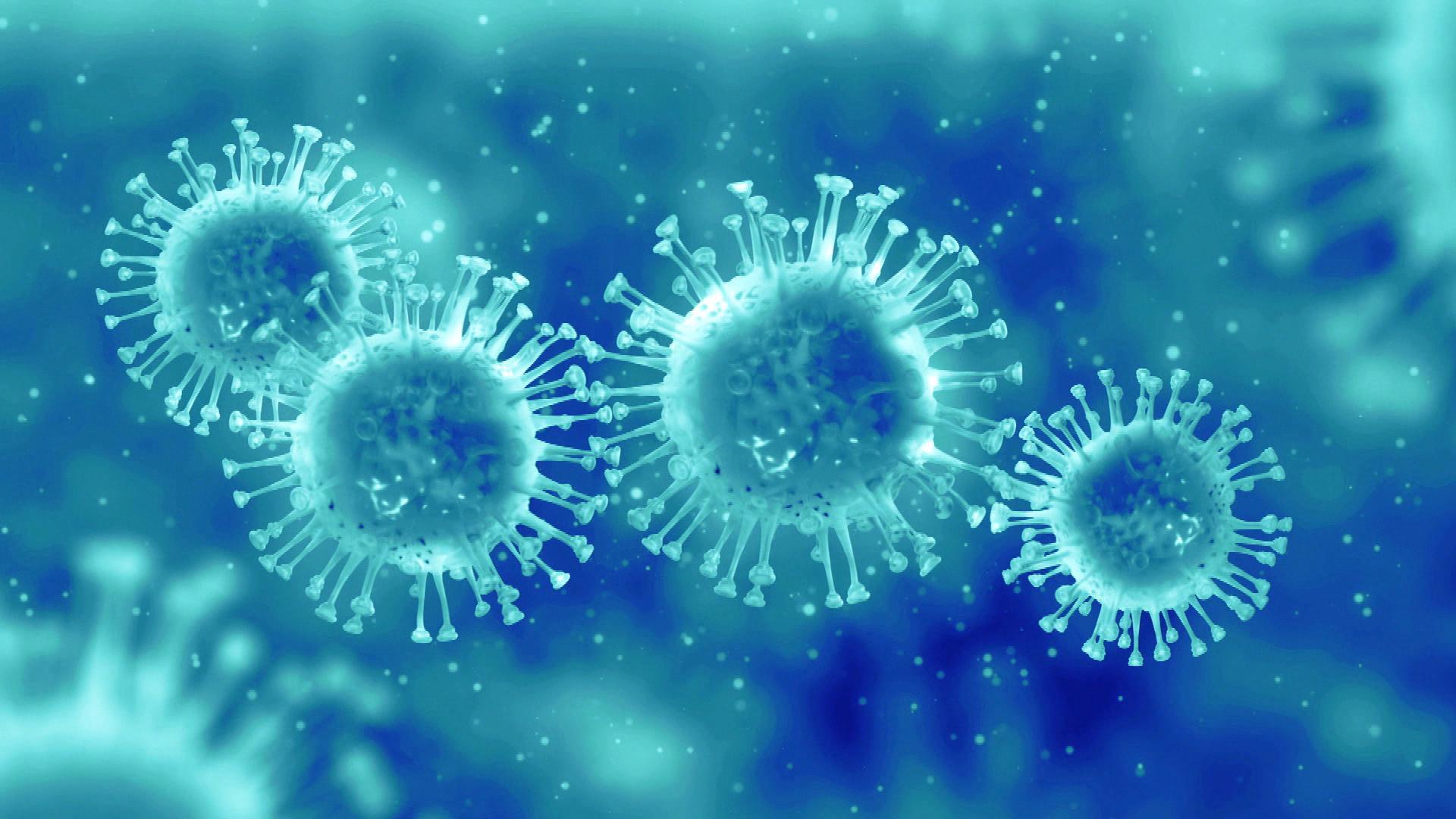 Gripe o influenza: por qué es tan peligrosa - Telemundo Denver