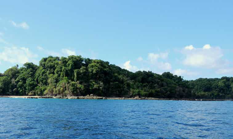 la Reserva Biológica Isla del Caño costa rica – The Costa Rican Times