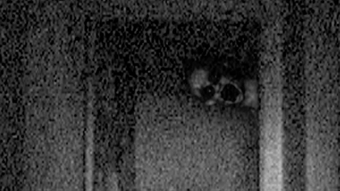 Pajami the Black Eyed Kid