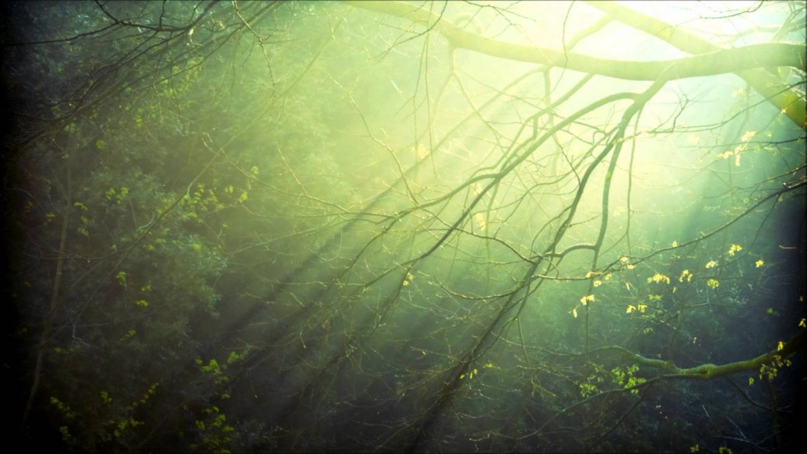 Animals, Humans and Gods