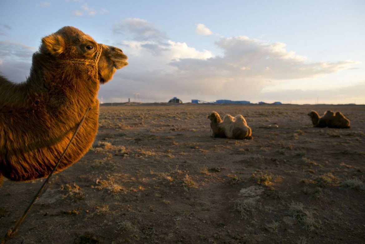 Haunted Mongolia