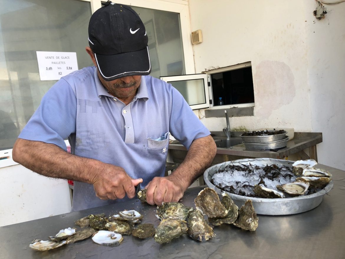 Revolutionizing Coastal Economies: How Oyster Farming is Changing Lives in Costa Rica