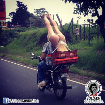 plans for the holidays