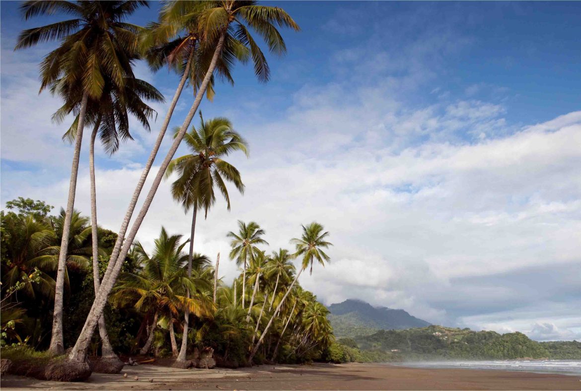 Costa Rica Wants Urgent Action to Protect Playa Tamarindo’s Ecosystem and Wildlife