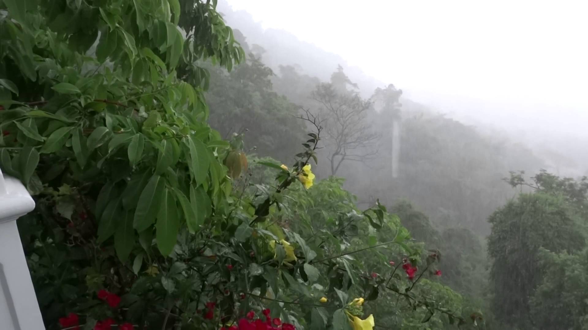 Rainy Season in Costa Rica Has Arrived The Costa Rican Times