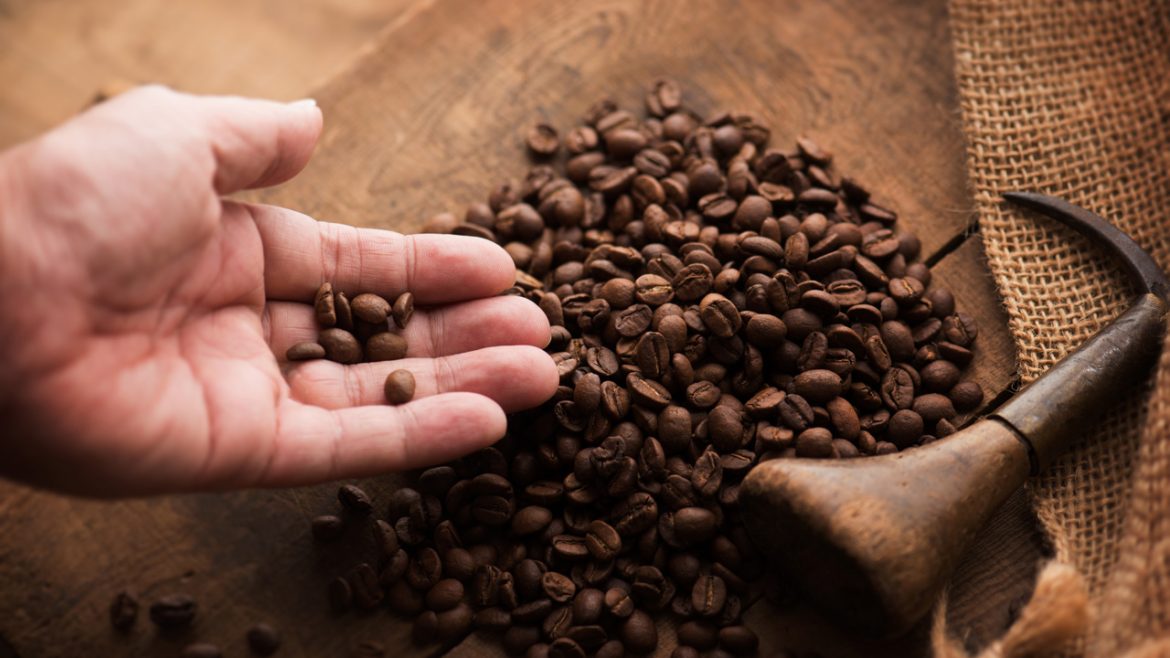 Costa Rica to Lift 30-year Ban on Planting Robusta Coffee