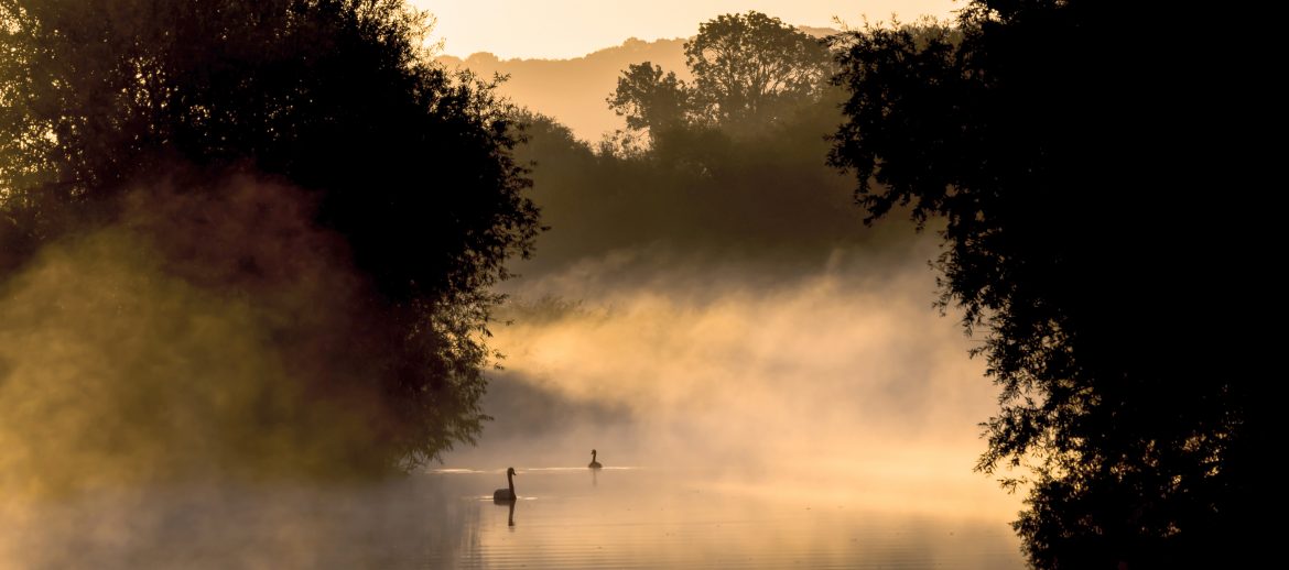 Are Monasteries Necessary?