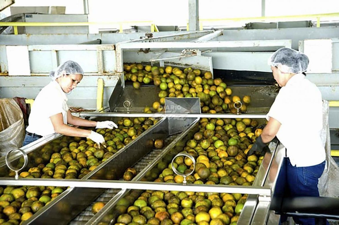 TicoFrut’s Financial Crisis: Over 5,000 Jobs in Jeopardy