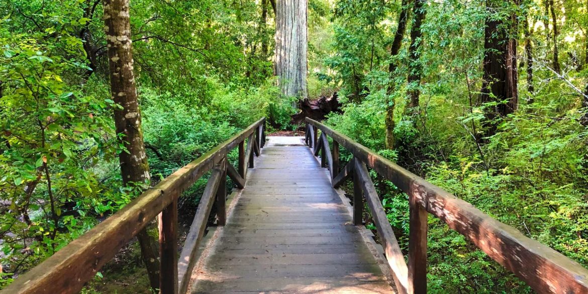 Emptying the Toxins of a Toxic Culture